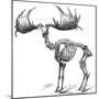 Giant Deer, 19th Century Artwork-Science Photo Library-Mounted Photographic Print