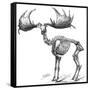 Giant Deer, 19th Century Artwork-Science Photo Library-Framed Stretched Canvas