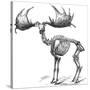 Giant Deer, 19th Century Artwork-Science Photo Library-Stretched Canvas