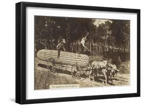 Giant Ear of Corn Pulled by Horse Cart-null-Framed Art Print