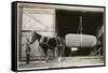 Giant Ear of Corn with Plow Horse, Nebraska-null-Framed Stretched Canvas