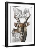 Giant Eland-Barbara Keith-Framed Premium Giclee Print