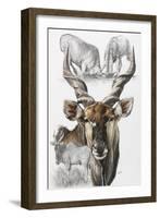 Giant Eland-Barbara Keith-Framed Giclee Print