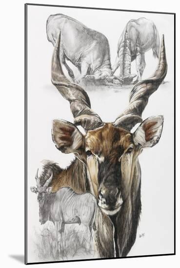 Giant Eland-Barbara Keith-Mounted Giclee Print