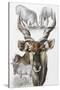 Giant Eland-Barbara Keith-Stretched Canvas