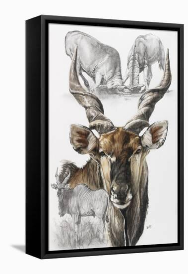 Giant Eland-Barbara Keith-Framed Stretched Canvas