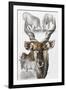 Giant Eland-Barbara Keith-Framed Giclee Print