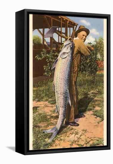 Giant Fish Caught at Corpus Christi, Texas-null-Framed Stretched Canvas