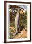 Giant Fish Caught at Corpus Christi, Texas-null-Framed Art Print