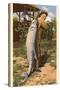 Giant Fish Caught at Corpus Christi, Texas-null-Stretched Canvas