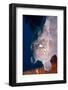 Giant Frogfish (Antennarius Commersonii) Can Grow to 30 Cm and Is Commonly Encountered by Divers-Louise Murray-Framed Photographic Print