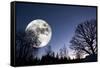 Giant Full-Moon over a Dark Forest, Night Time Image-lagardie-Framed Stretched Canvas