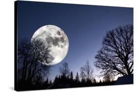 Giant Full-Moon over a Dark Forest, Night Time Image-lagardie-Stretched Canvas