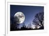 Giant Full-Moon over a Dark Forest, Night Time Image-lagardie-Framed Photographic Print