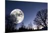 Giant Full-Moon over a Dark Forest, Night Time Image-lagardie-Mounted Photographic Print