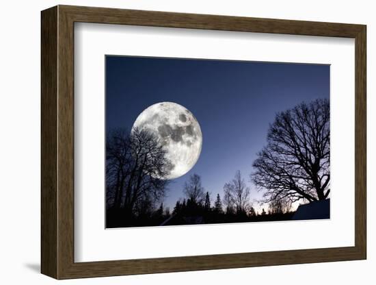 Giant Full-Moon over a Dark Forest, Night Time Image-lagardie-Framed Photographic Print