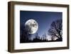 Giant Full-Moon over a Dark Forest, Night Time Image-lagardie-Framed Photographic Print