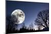 Giant Full-Moon over a Dark Forest, Night Time Image-lagardie-Mounted Photographic Print