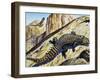 Giant Girdled Lizard (Smaug Giganteus), Cordylidae-null-Framed Giclee Print