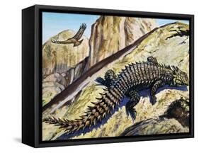 Giant Girdled Lizard (Smaug Giganteus), Cordylidae-null-Framed Stretched Canvas