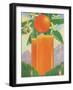 Giant Glass of Orange Juice-null-Framed Art Print