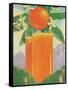 Giant Glass of Orange Juice-null-Framed Stretched Canvas