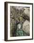 Giant Green Anemones, and Ochre Sea Stars, Exposed on Rocks, Olympic National Park, Washington, USA-Georgette Douwma-Framed Photographic Print