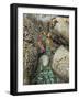 Giant Green Anemones, and Ochre Sea Stars, Exposed on Rocks, Olympic National Park, Washington, USA-Georgette Douwma-Framed Photographic Print