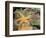 Giant Green Anemones and Ochre Sea Stars-Stuart Westmoreland-Framed Photographic Print