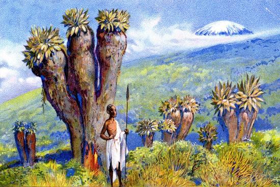 Giclee Print, , large