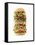 Giant Ham, Sliced Sausage and Lettuce Sandwich-Giorgio Scarlini-Framed Stretched Canvas