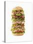 Giant Ham, Sliced Sausage and Lettuce Sandwich-Giorgio Scarlini-Stretched Canvas