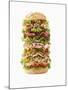 Giant Ham, Sliced Sausage and Lettuce Sandwich-Giorgio Scarlini-Mounted Photographic Print