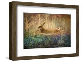 Giant Hare leaps-Claire Westwood-Framed Art Print