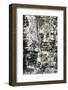 Giant Heads at the Bayon Temple, Angkor, Siem Reap, Cambodia, Indochina-Jordan Banks-Framed Photographic Print