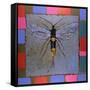 Giant Horntail, 1996-Peter Wilson-Framed Stretched Canvas