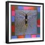 Giant Horntail, 1996-Peter Wilson-Framed Giclee Print