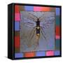 Giant Horntail, 1996-Peter Wilson-Framed Stretched Canvas