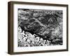 Giant Intaglio Pictographs, Californian Desert, 1932-null-Framed Photographic Print