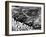 Giant Intaglio Pictographs, Californian Desert, 1932-null-Framed Photographic Print