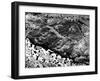 Giant Intaglio Pictographs, Californian Desert, 1932-null-Framed Photographic Print