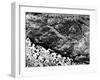 Giant Intaglio Pictographs, Californian Desert, 1932-null-Framed Photographic Print