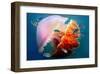 Giant Jellyfish Underwater-null-Framed Art Print