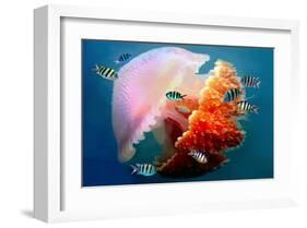 Giant Jellyfish Underwater-null-Framed Art Print