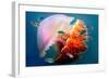 Giant Jellyfish Underwater-null-Framed Art Print