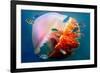 Giant Jellyfish Underwater-null-Framed Art Print