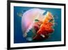 Giant Jellyfish Underwater-null-Framed Art Print