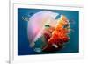 Giant Jellyfish Underwater-null-Framed Art Print