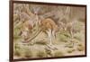 Giant Kangaroo-null-Framed Giclee Print