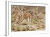 Giant Kangaroo-null-Framed Giclee Print